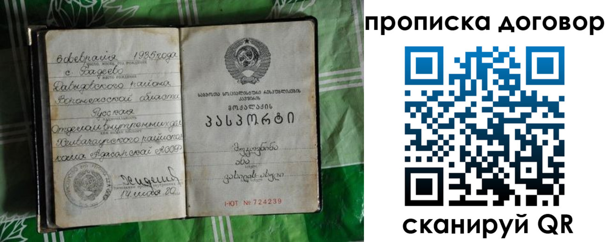 прописка в Тырныаузе